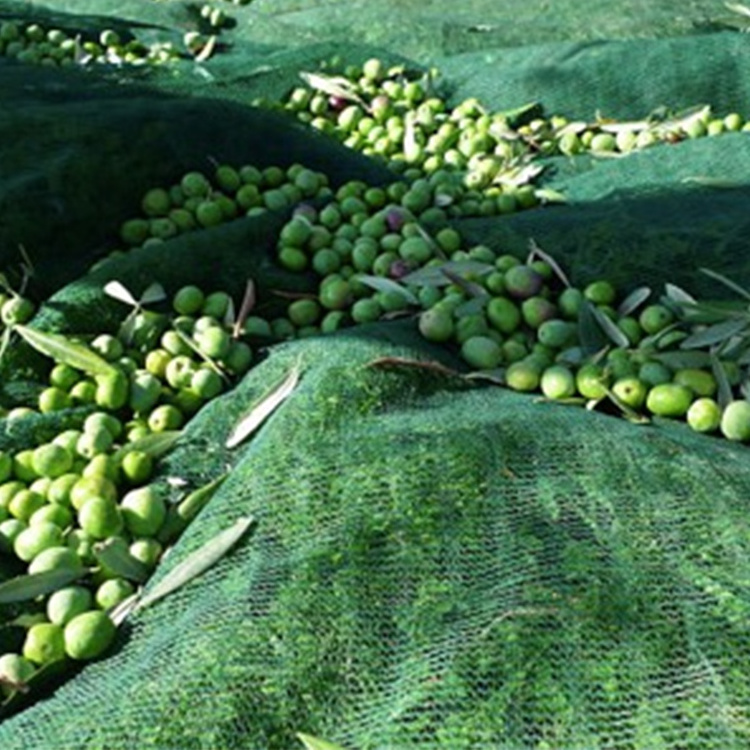 olive picking net rete raccolta olive antispina /nets for harvesting olives prices/olive harvest nets spain