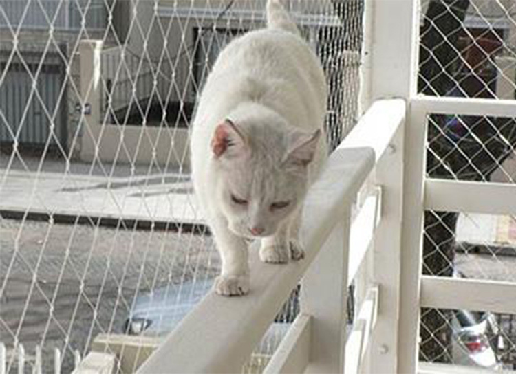 Mallas de seguridad para mascotas wholesale balcony protective fence cat net balcony, plastic mesh patio protective net for cats