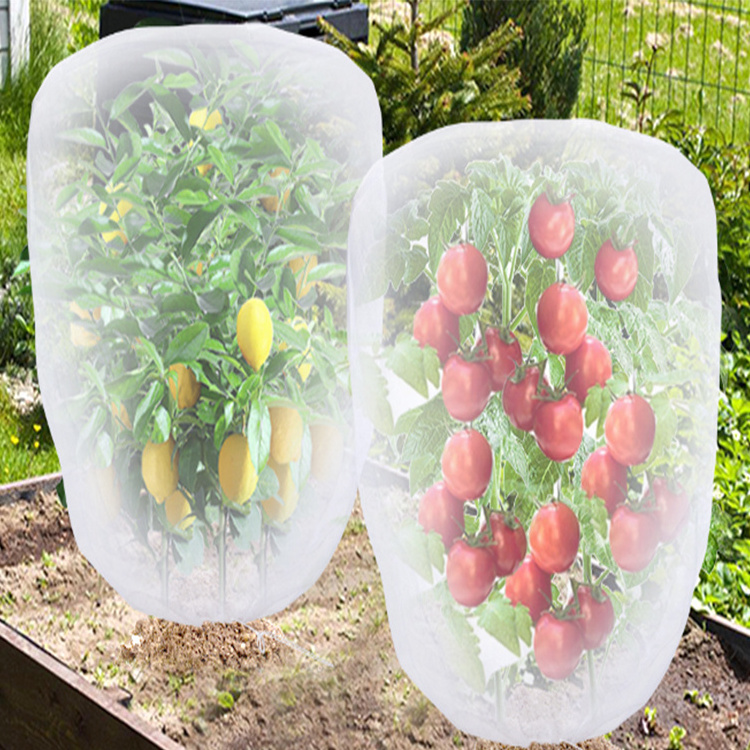 low price HDPE anti insect net tree protection bags bird net UV t reated white plastic mesh net cover protection bags