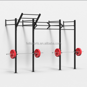 Hot Sales Wall Mounted Cross fit Rig Multi Cf Rack Pull Up&monkey Bar Rigs Gym Equipment