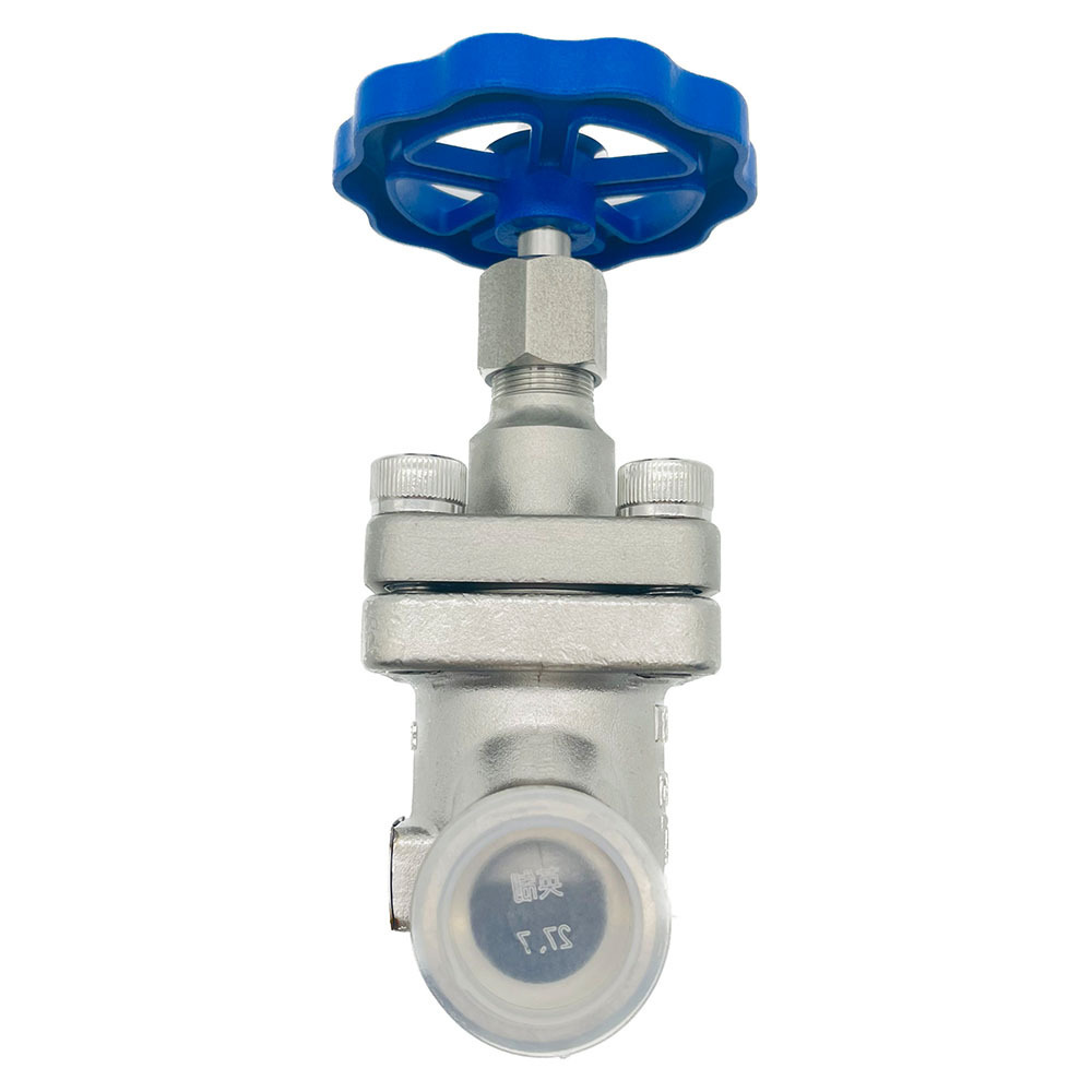 Cryogenic Globe Valve Cryogenic Gas Control Valve Extended Stem