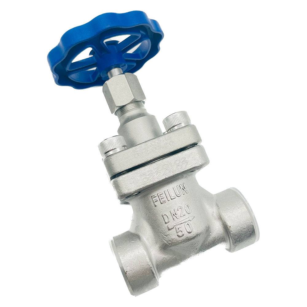 Cryogenic Globe Valve Cryogenic Gas Control Valve Extended Stem