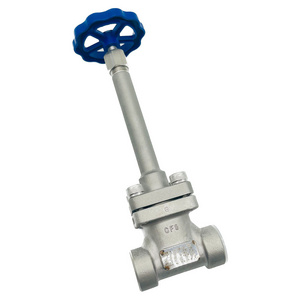 Cryogenic Globe Valve Manufacturers High Pressure Socket Weld