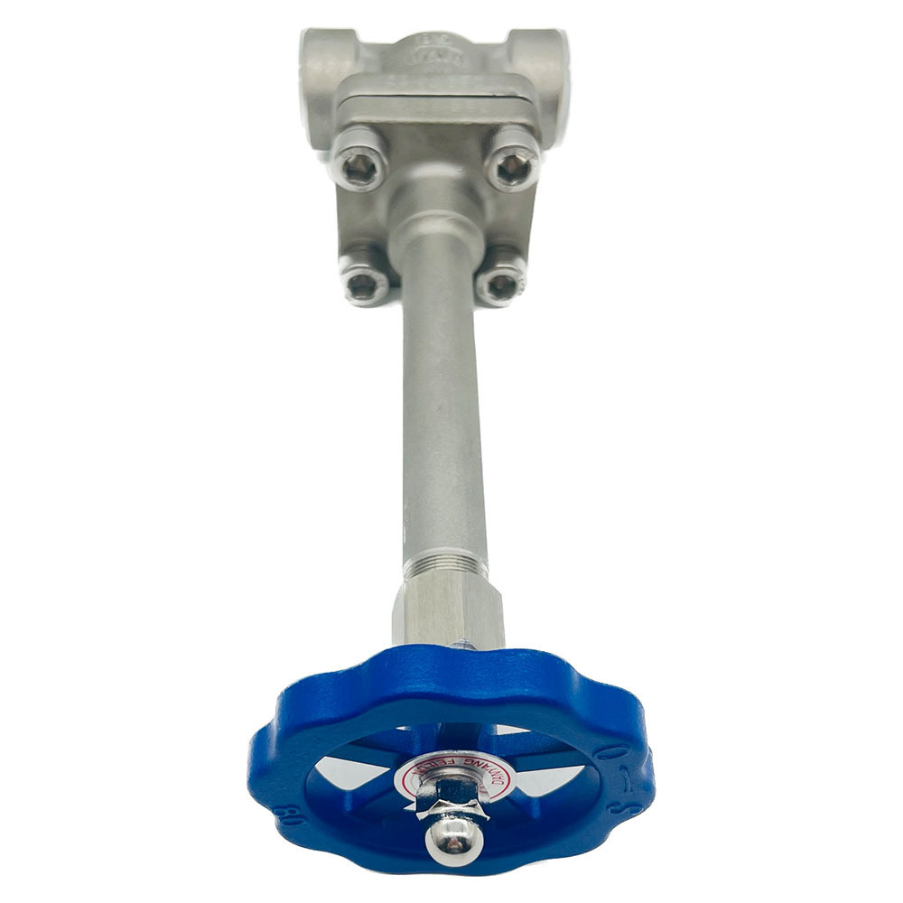 Cryogenic Globe Valve Manufacturers High Pressure Socket Weld