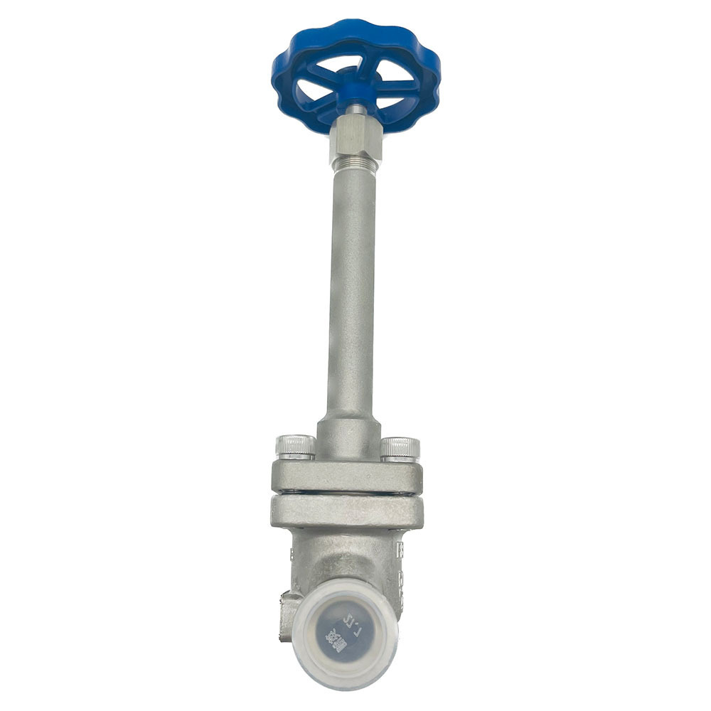 Cryogenic Globe Valve Manufacturers High Pressure Socket Weld