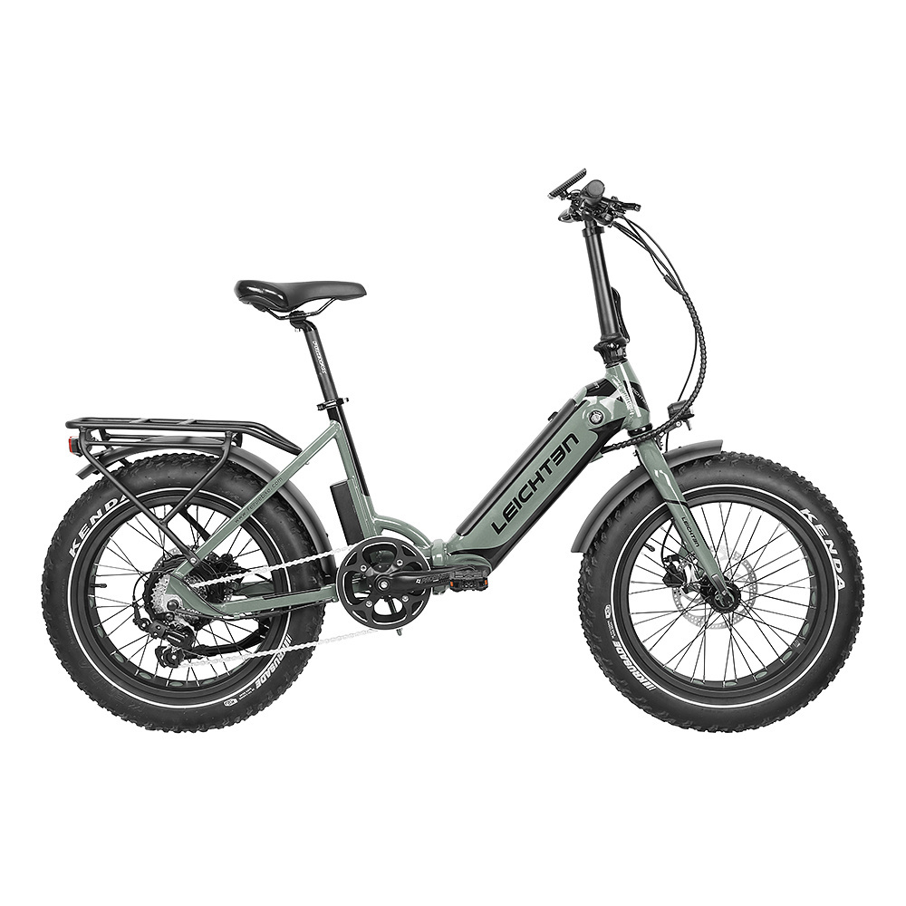 Folding Fat tire electric bike Step Through electric bike bicycle 20inch 750w Ebike 500w 48v electric folding bike