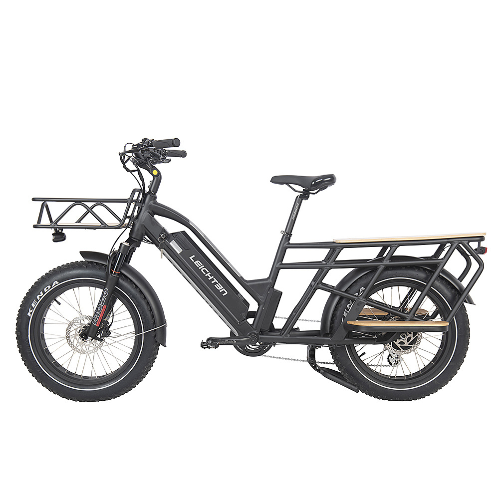 High performance Fat tire electric bike 48V500W/750W motor electric cargo bike can install baby seats Ebike for family