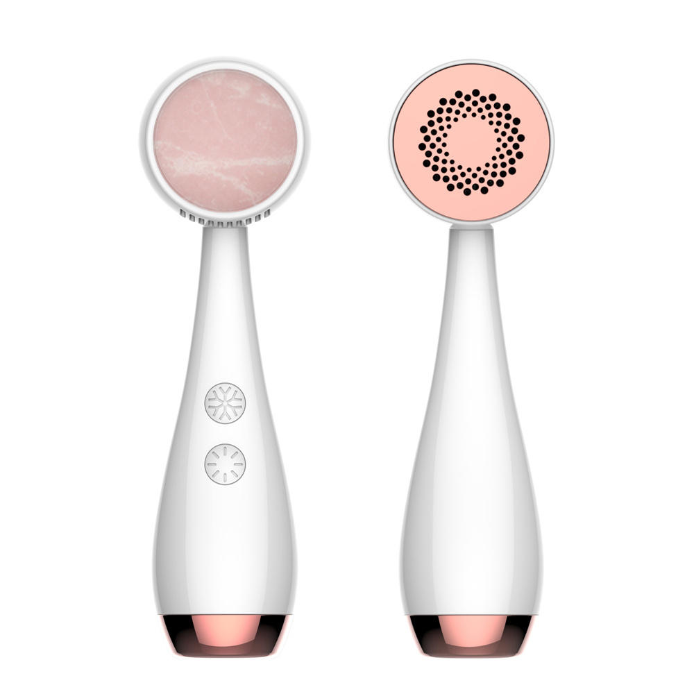 Face Beauty Equipment Private Mold Hot Cold Facial Massager