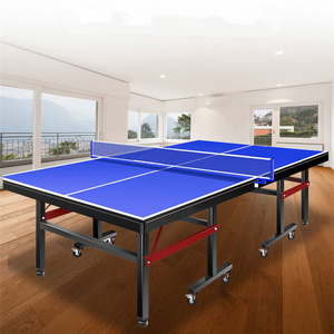 Standard Size Indoor Pingpong Table Racket Entertainment Exercise Foldable  Table Tennis Tables