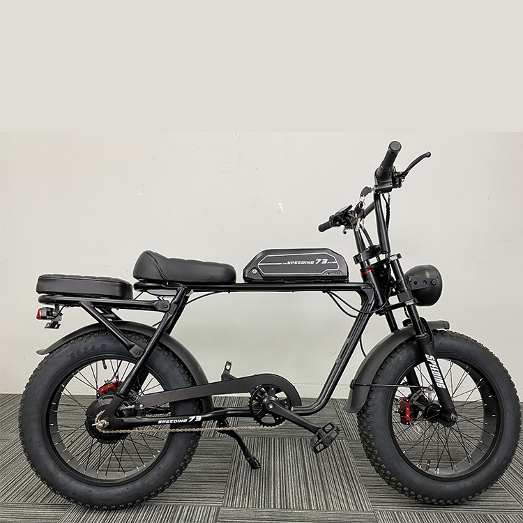 Folding Step Through Electric Bicycle 20 Inch Fat Tire 750w Ebike 500w 48v Electric Bike 7 Speeds LED Lithium Battery SD 10.5 AH