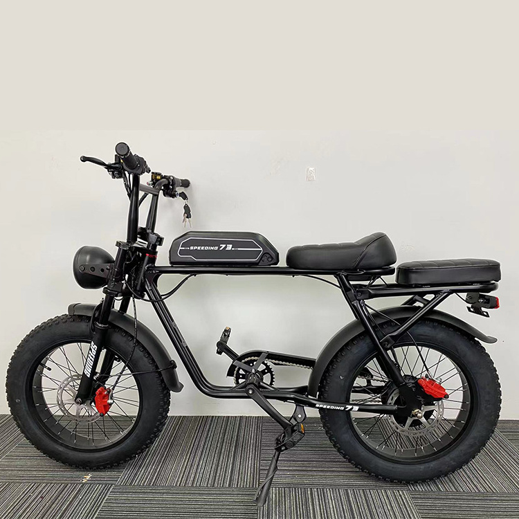 Folding Step Through Electric Bicycle 20 Inch Fat Tire 750w Ebike 500w 48v Electric Bike 7 Speeds LED Lithium Battery SD 10.5 AH