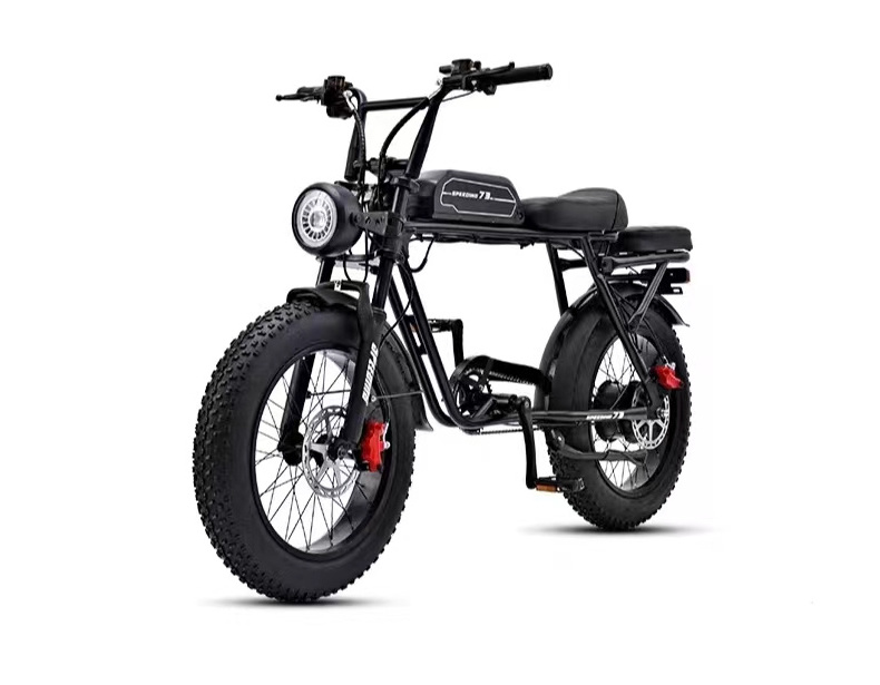 48v 1000w Folding Electric Bike /latest 20 Inch Fat Tire Folding Ebike Eu Warehouse/factory Small Foldable E Bike Mid Motor