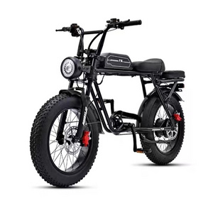 48v 1000w Folding Electric Bike /latest 20 Inch Fat Tire Folding Ebike Eu Warehouse/factory Small Foldable E Bike Mid Motor