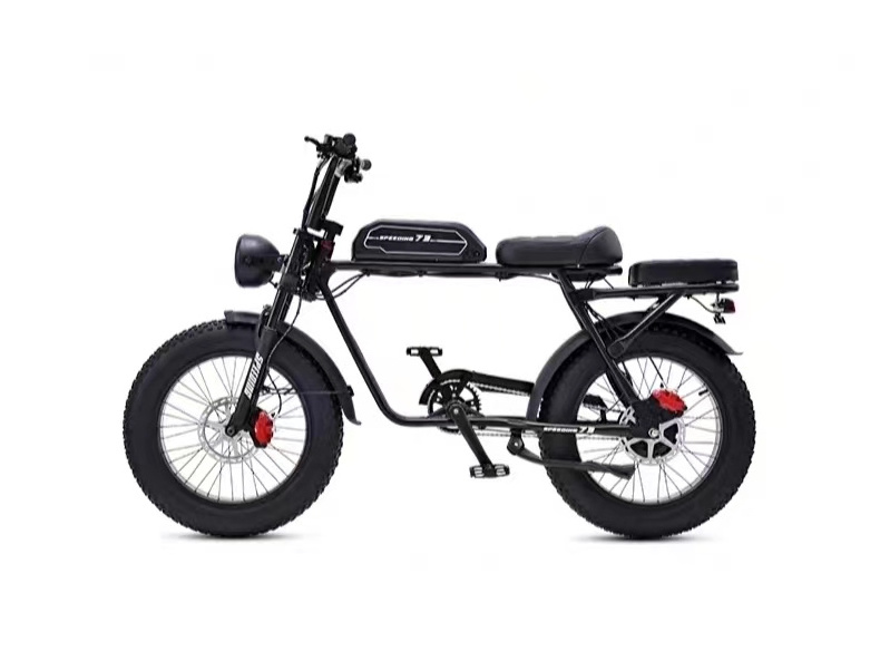 48v 1000w Folding Electric Bike /latest 20 Inch Fat Tire Folding Ebike Eu Warehouse/factory Small Foldable E Bike Mid Motor