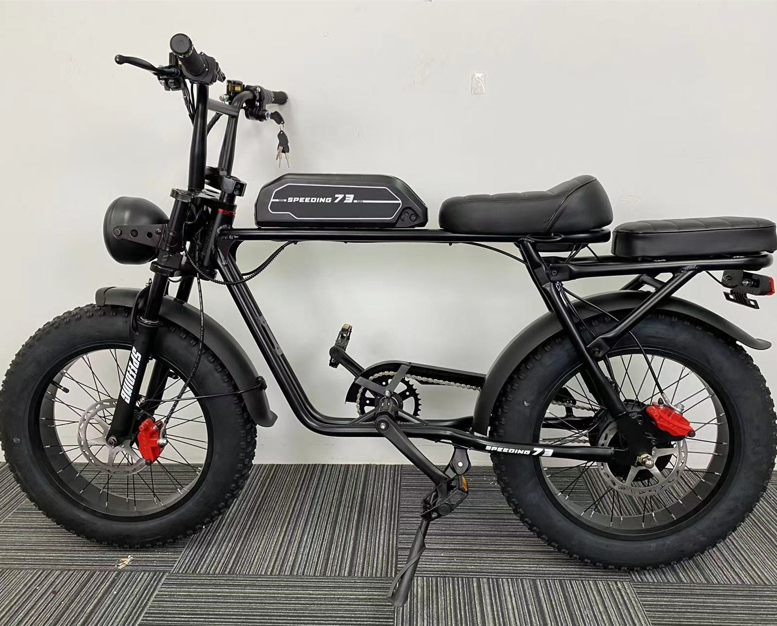 48v 1000w Folding Electric Bike /latest 20 Inch Fat Tire Folding Ebike Eu Warehouse/factory Small Foldable E Bike Mid Motor