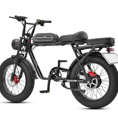 Cheap 20 Inch 48v Electric City Bike Folding 2 Seat E-bicycle 350w Lithium Battery E-bike Electric Bicycle