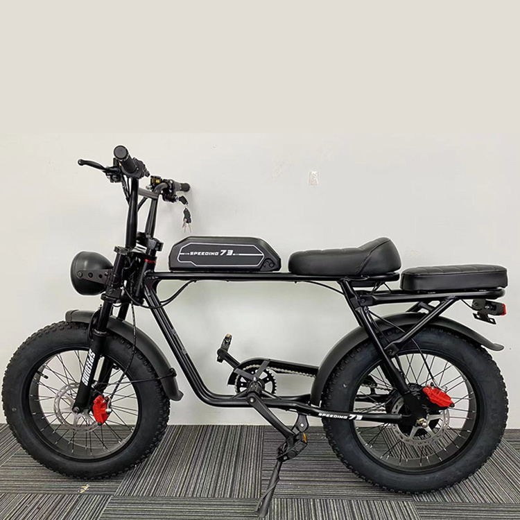 20 Inch 2019 Most Popular E-bike Fat Tyre 48v E Bike Folding Fat Tire Electric Bicycle