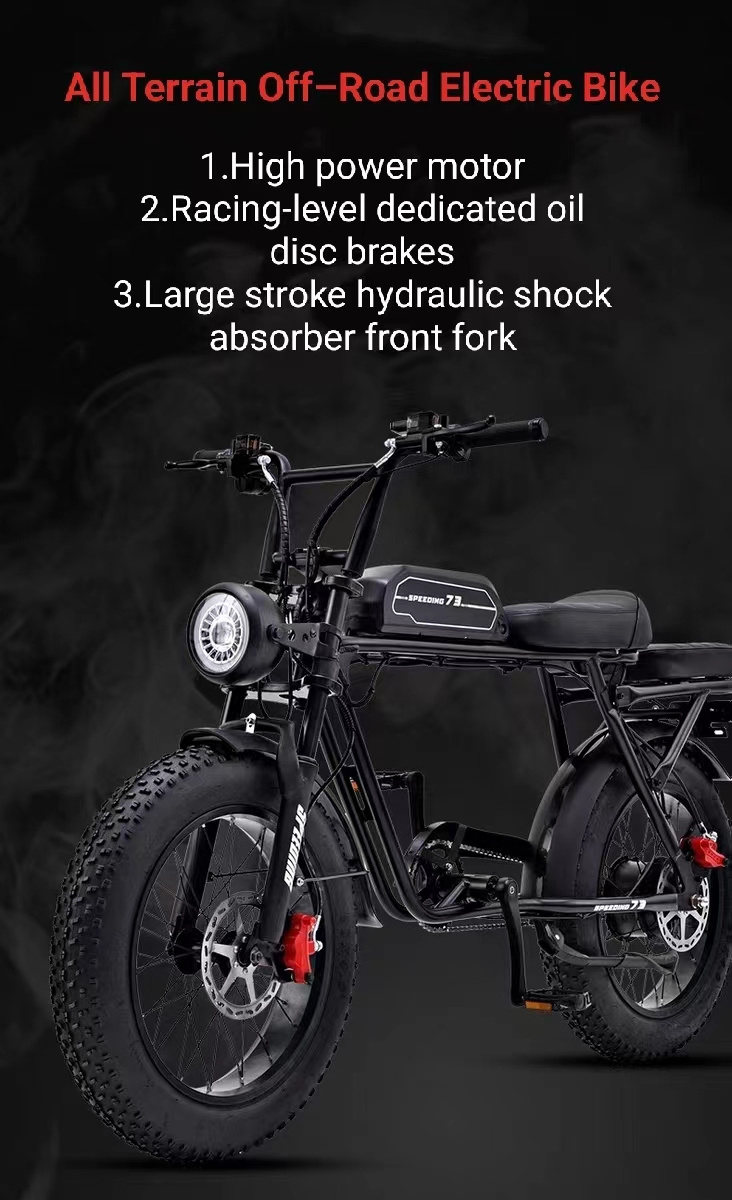 Cheap 20 Inch 48v Electric City Bike Folding 2 Seat E-bicycle 350w Lithium Battery E-bike Electric Bicycle