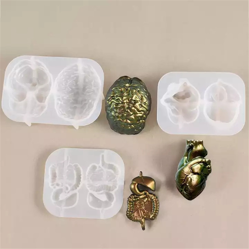 Y6067 DIY epoxy resin Organ Silicone Molds Heart Brain Intestine Resin Mold