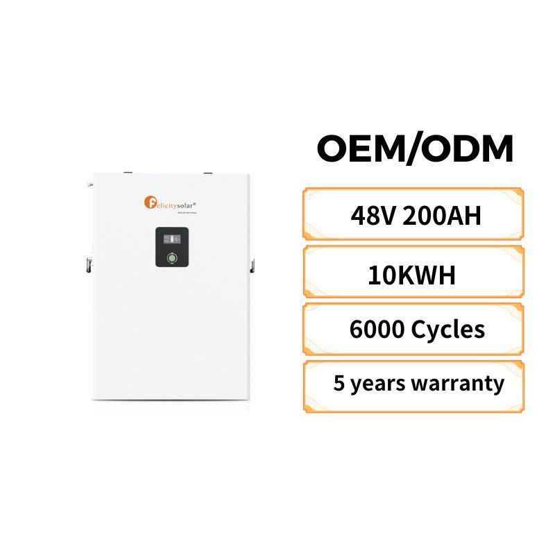 200AH 48V BMS Battery System lithium LiFePO4 Lithium Energy Storage Ion Solar Battery