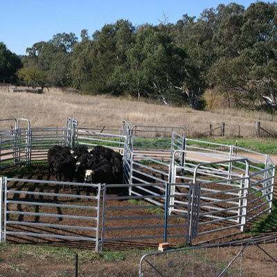 Steel Horse Stall Panels