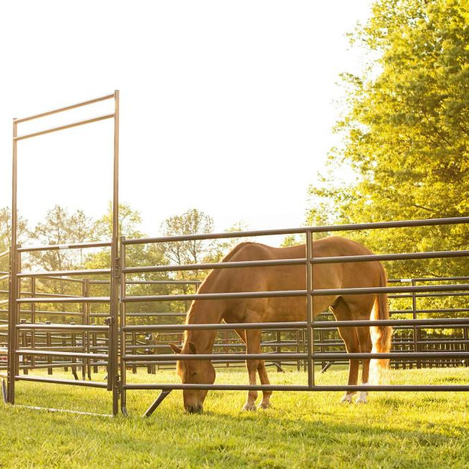 hot sale in North America portable galvanized pipe used Heavy Duty Crowding Horse Country corral panels