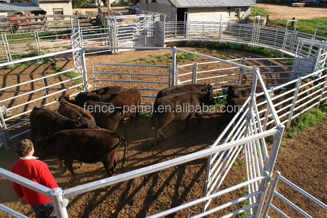 Steel Horse Stall Panels