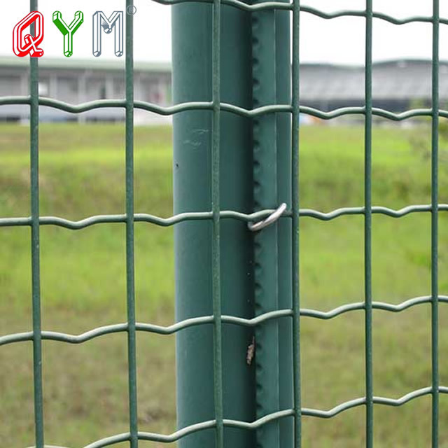 Holland Fence Netting Welded Euro Wire Mesh Fence