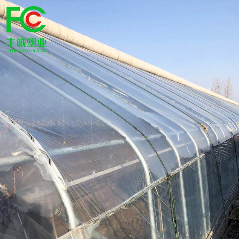 low cost single span tunnel vegetable greenhouse green house used for sale