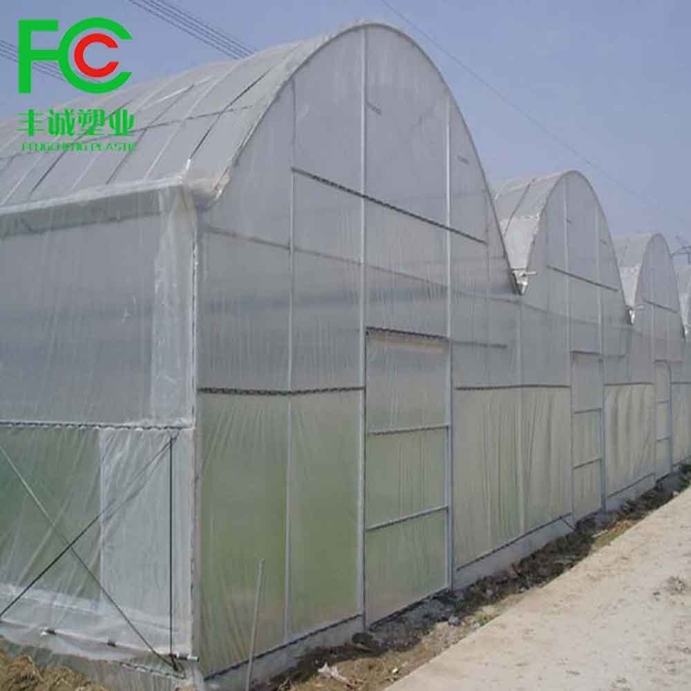 Agriculture Hdpe Plastic Anti Insect Mesh Insect Proof Net ...