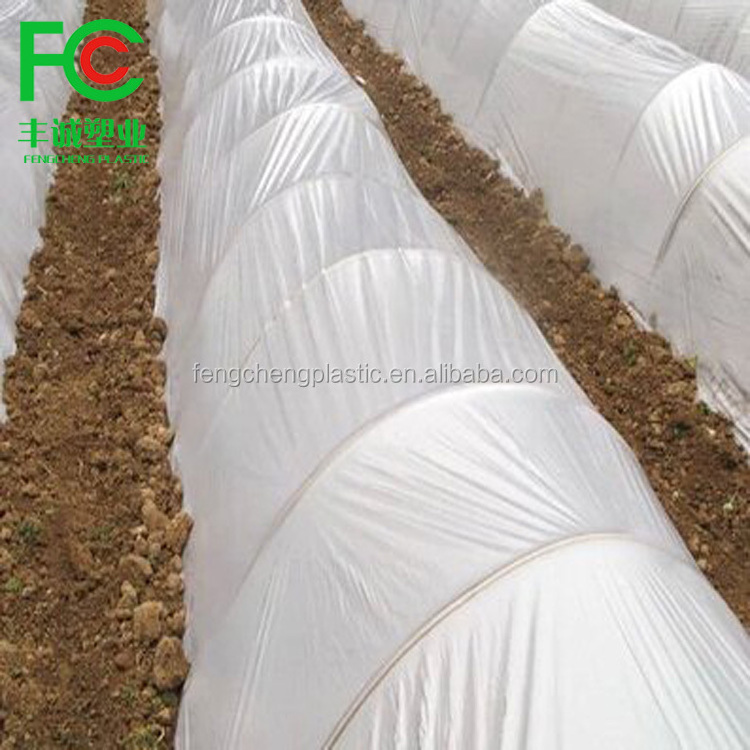 low cost single span tunnel vegetable greenhouse green house used for sale