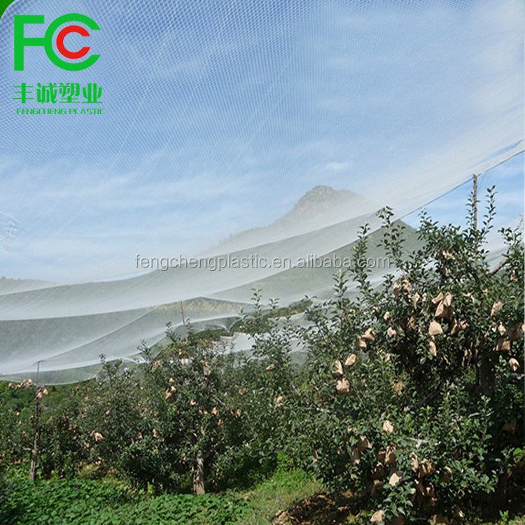 Manufacture protect plants insect netting ,white fly insect net anti aphids net,insect netting for fruit tree