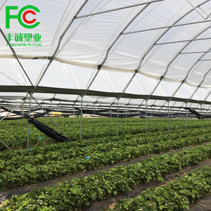 low cost single span tunnel vegetable greenhouse green house used for sale