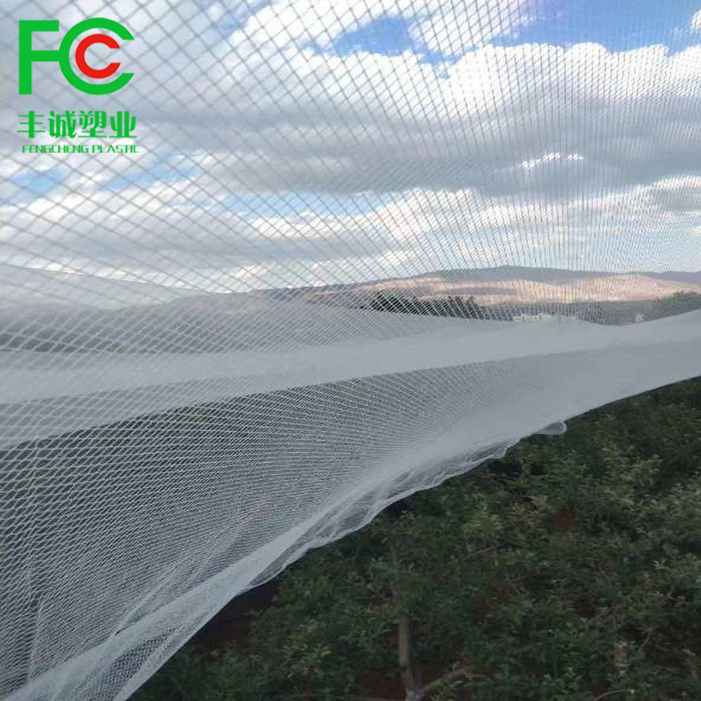 anti hail leno nets anti-hail 100% virgin hdpe knitted woven netting white 50 60 70 GSM for garden agro olive fruit tree