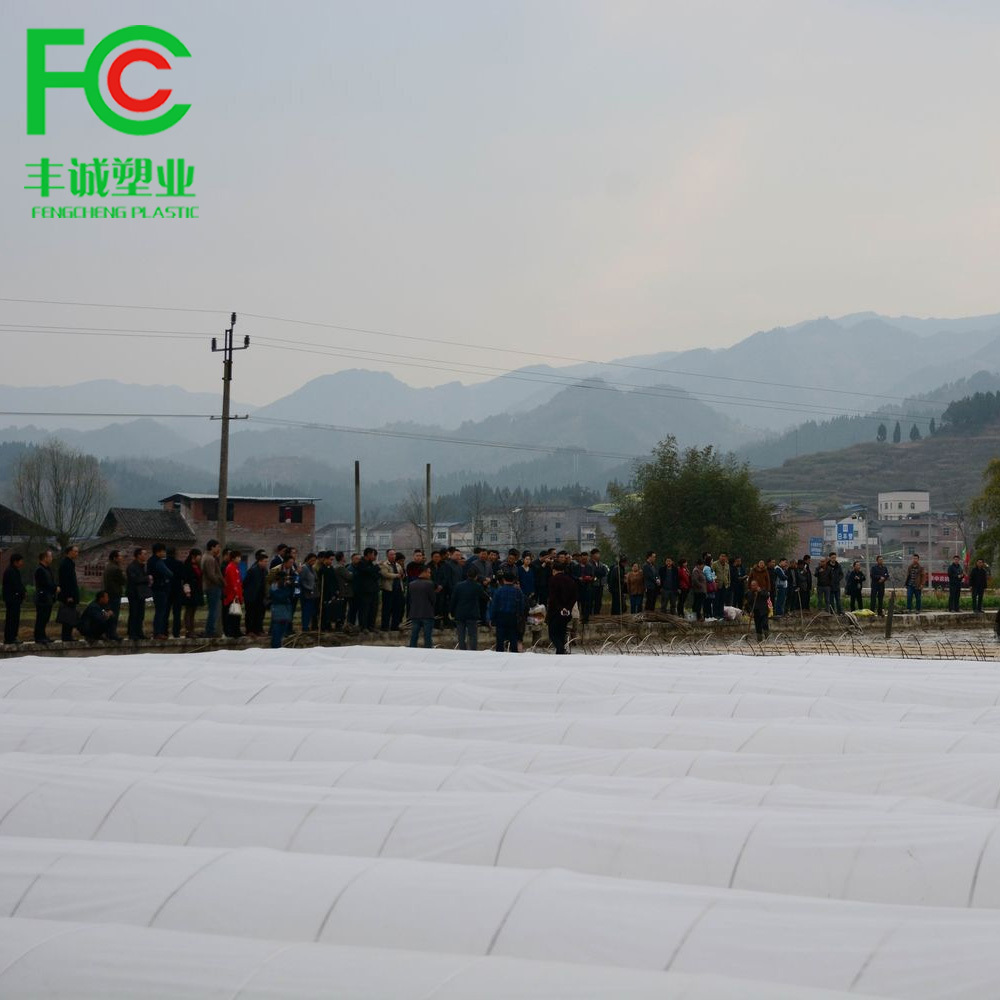 PP agricultural non woven fabric pp nonwoven crop row cover spunbond nonwoven