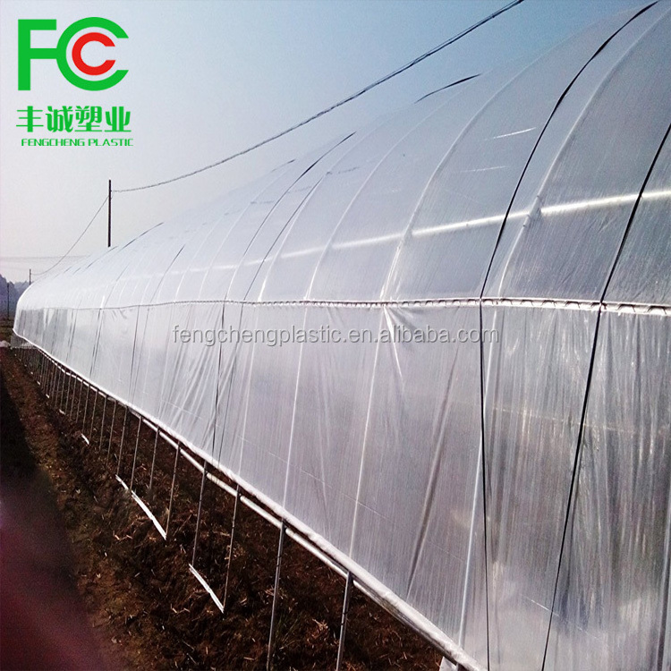 low cost single span tunnel vegetable greenhouse green house used for sale