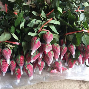 factory produce protection rose bud flower wrap foam soaks net