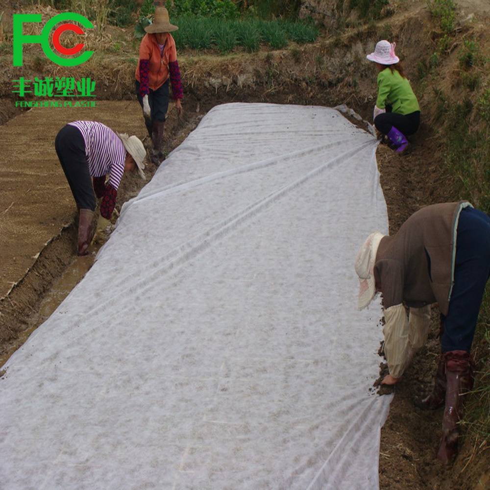 PP agricultural non woven fabric pp nonwoven crop row cover spunbond nonwoven