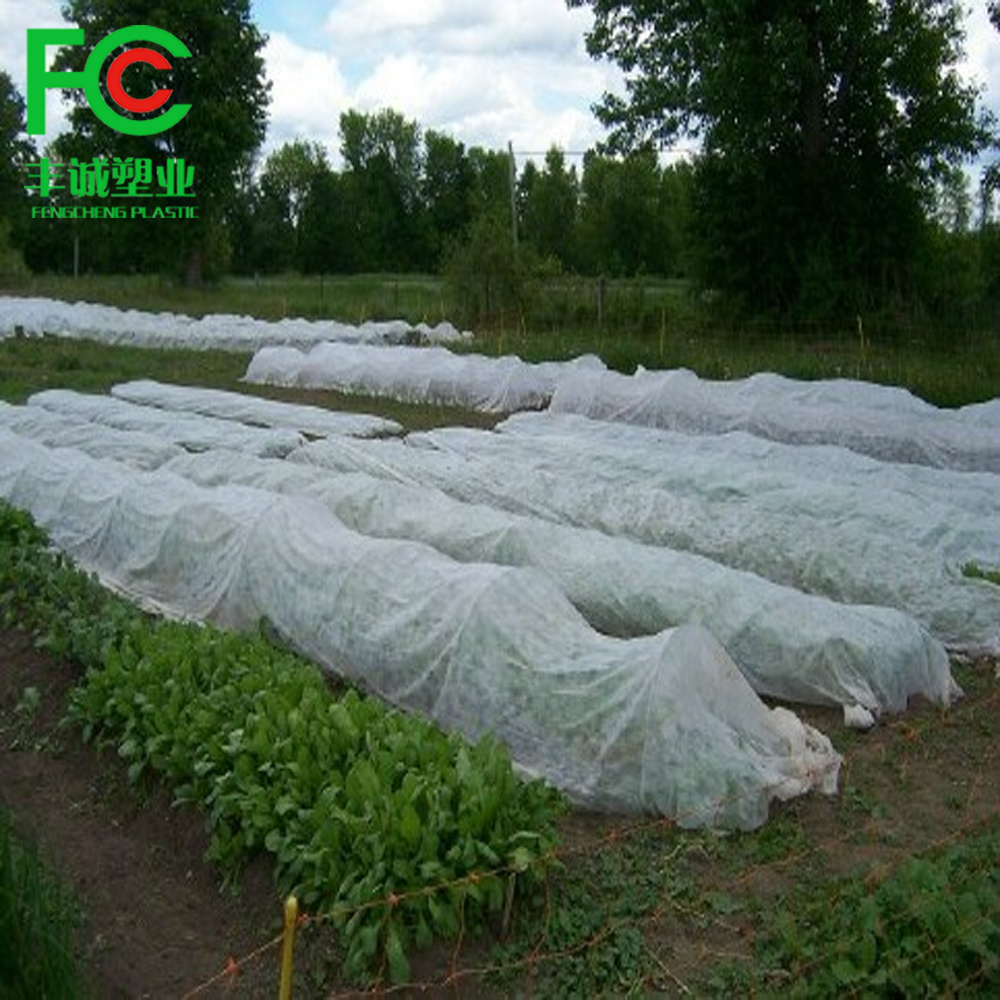 PP agricultural non woven fabric pp nonwoven crop row cover spunbond nonwoven