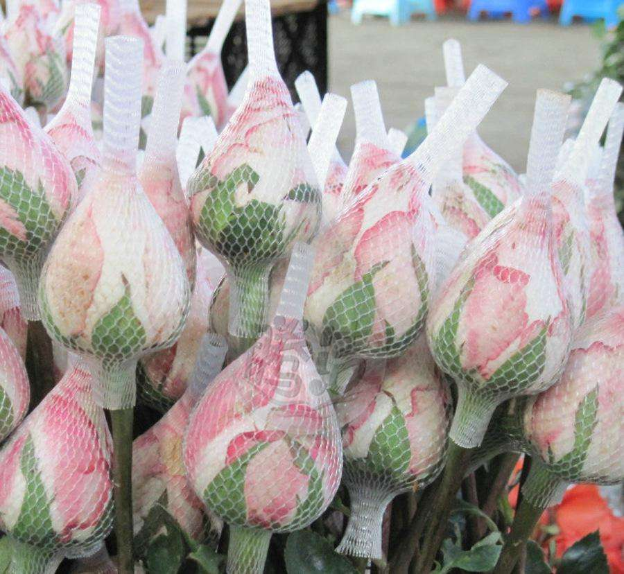 factory produce protection rose bud flower wrap foam soaks net