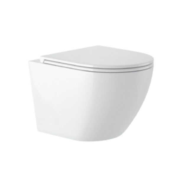 CUPC American Toilets Elongated Modern Western One Piece Toilet Floor Mounted