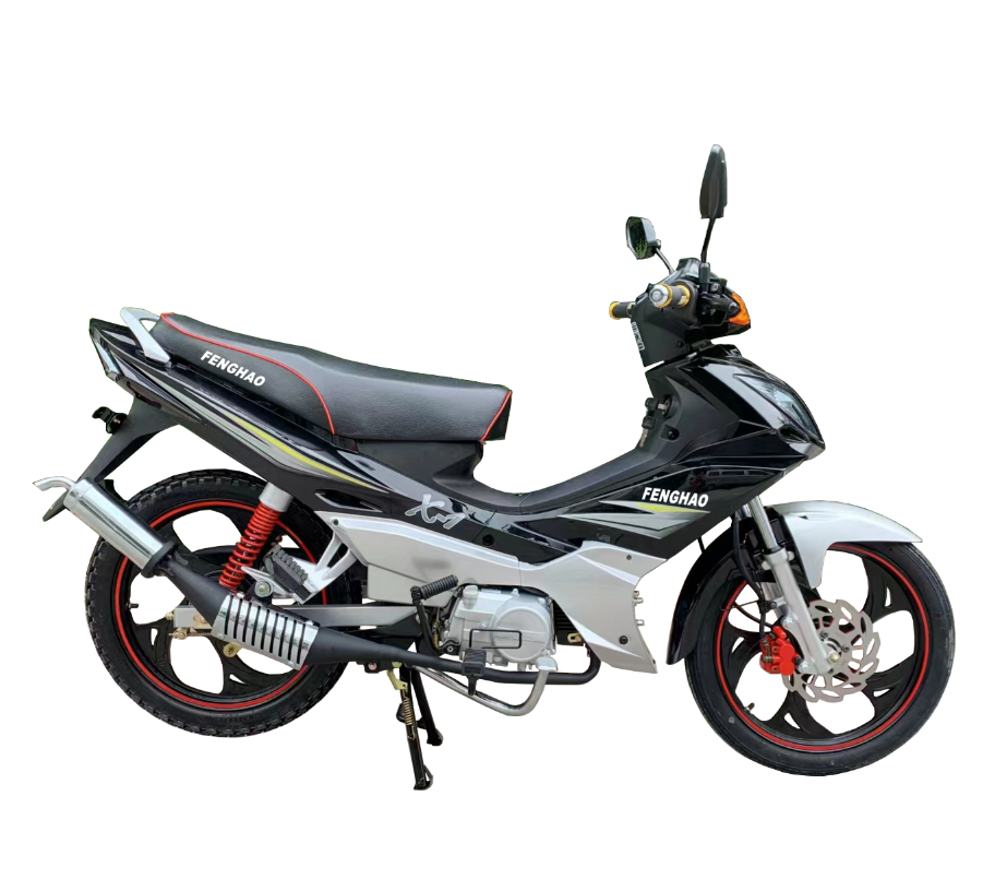 Fenghao Outdoor Durable High Quality 110cc  Cub Motorcycle (FH50)