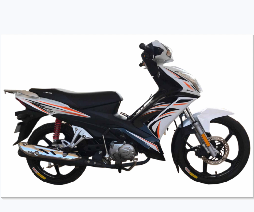 China Factory Supply High Cost-Effective Top Quality FH110-3 Wholesale Racing Motorcycles