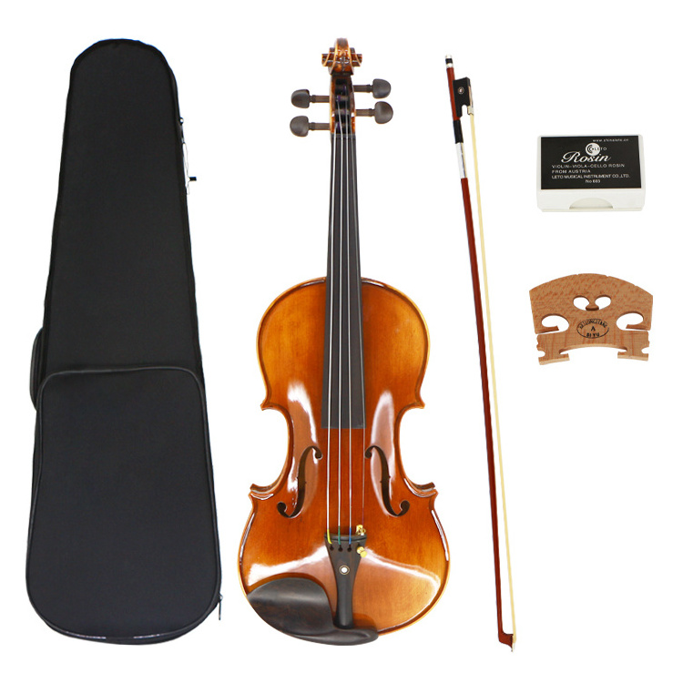 Hebikuo HV04A Modern High Quality Handmade Maple 4/4 1-16 Violin For Beginners And Profesional