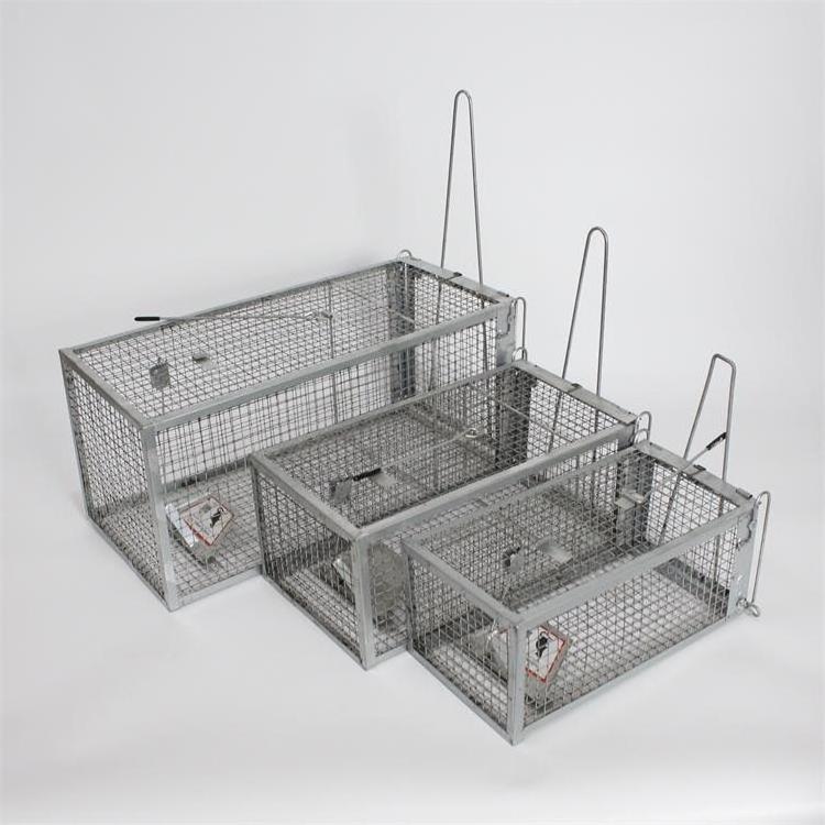 Humane Live Multi Catch Wire Mesh Metal Mouse Rat Cage Animal Trap Cage In All Sizes