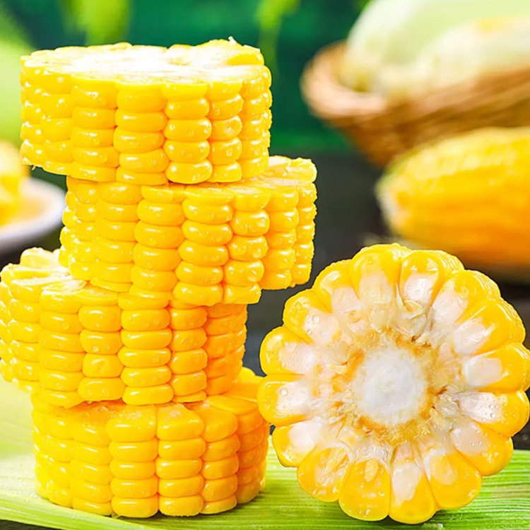 Fengmai Food China made northeast Yellow sweet corn