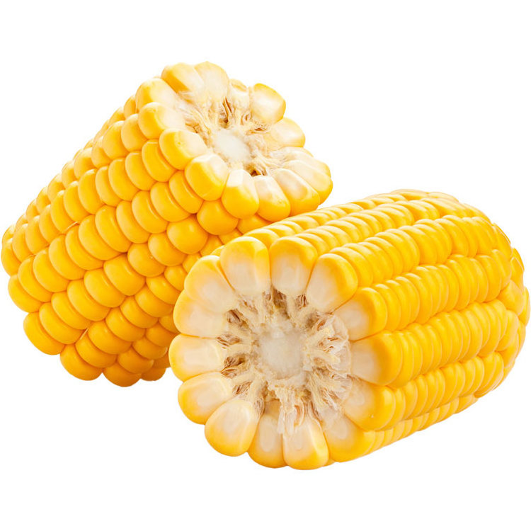 Fengmai Food China made northeast Yellow sweet corn