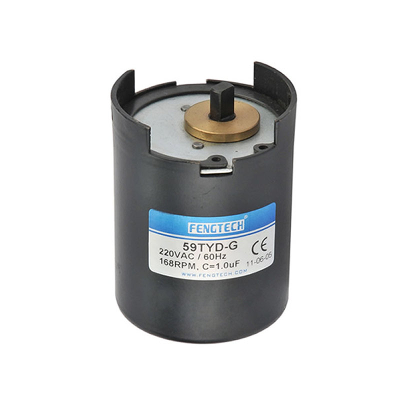 High quality 59TYD-G synchronous motor 220V AC motor high torque Mini 168rpm continuous CCW