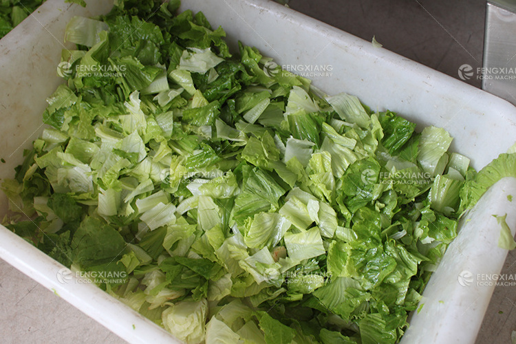 China Factory Supply Ce-approved Electric Vegetable Cutter Lettuce Slicer