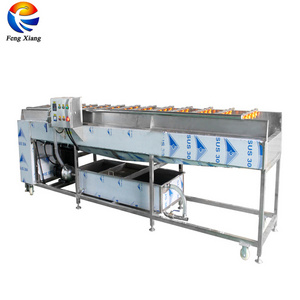 High Pressure Spray Watermelon Mango Apple  Orange Citrus Fruit And Vegetable Brush Washing Machine